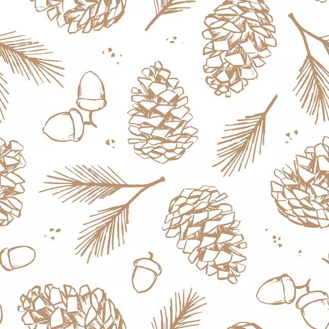 Kissen Pinecones and acorns