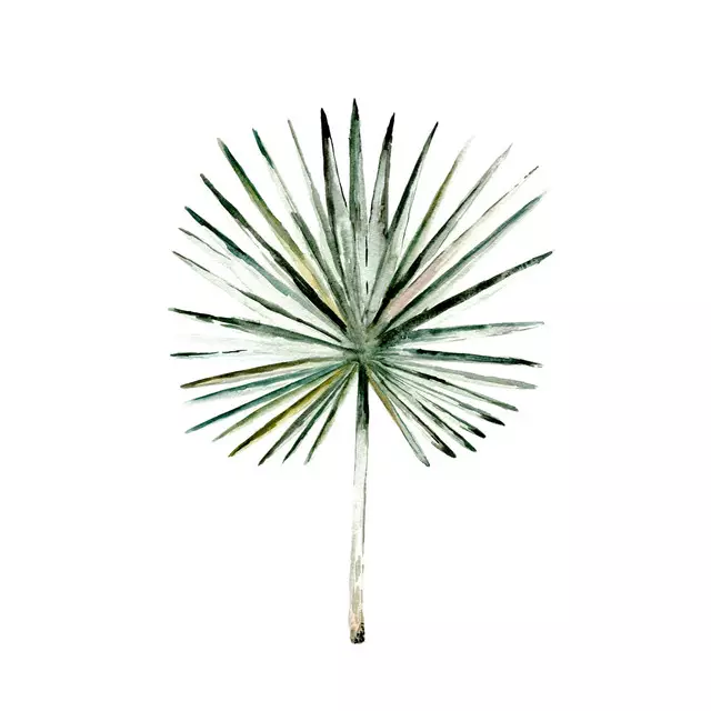 Servietten Fan Palm