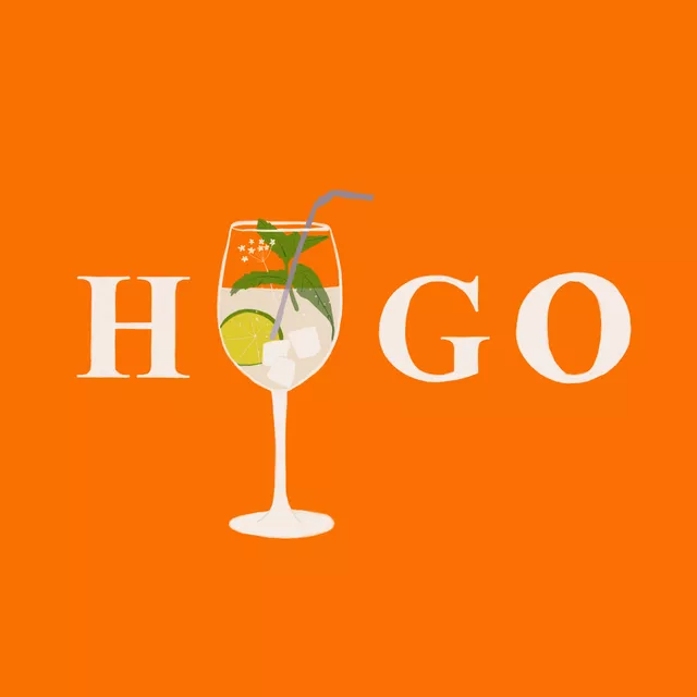 Kissen Hugo Typo Orange