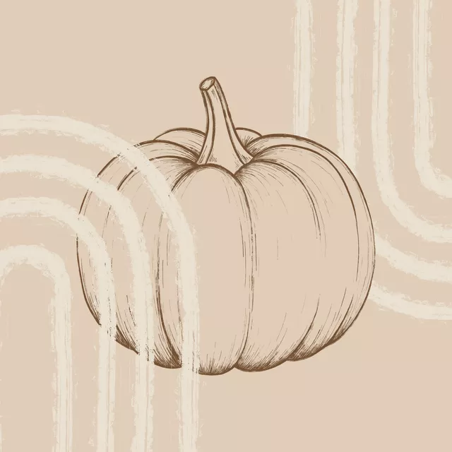 Kissen Pumpkin