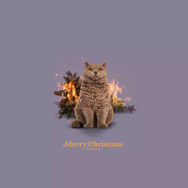 Kissen Merry Christmas From The Cat