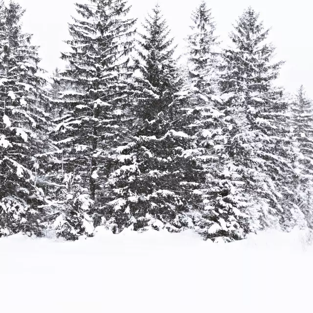 Tischläufer Winterwald