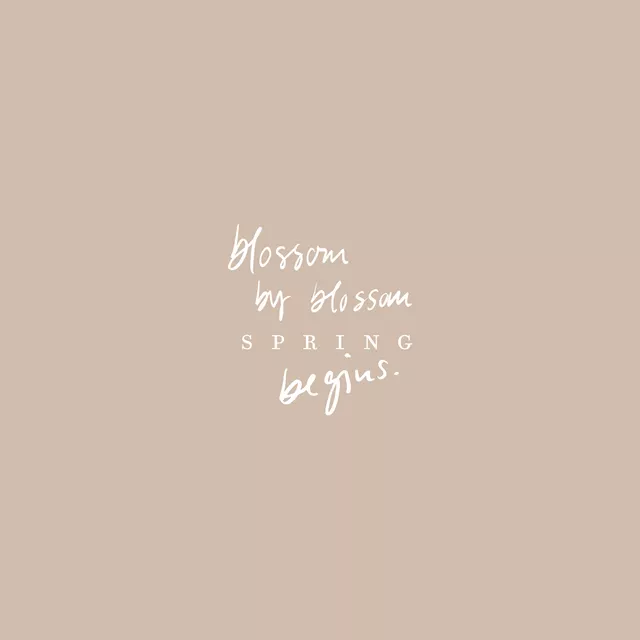 Kissen Blossom quote