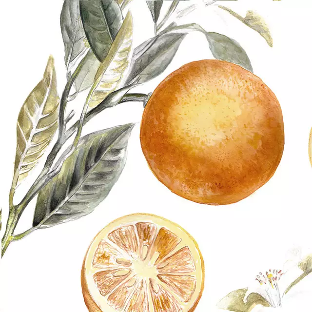 Kissen Oranges