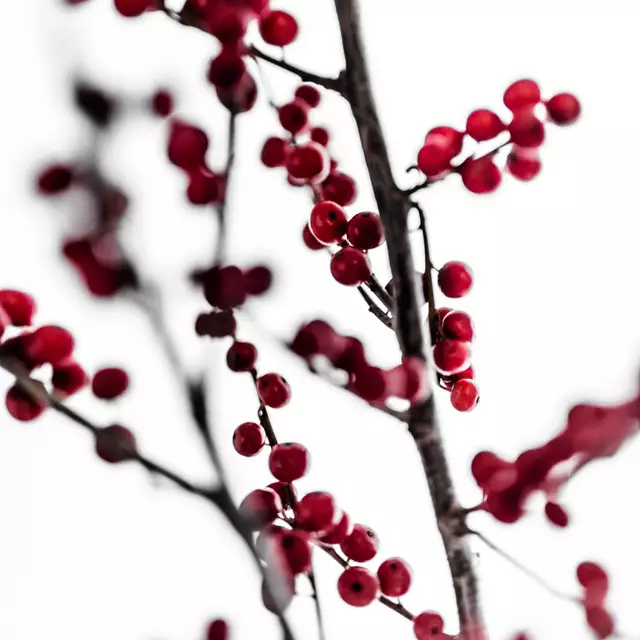 Tischläufer Red Berries 1