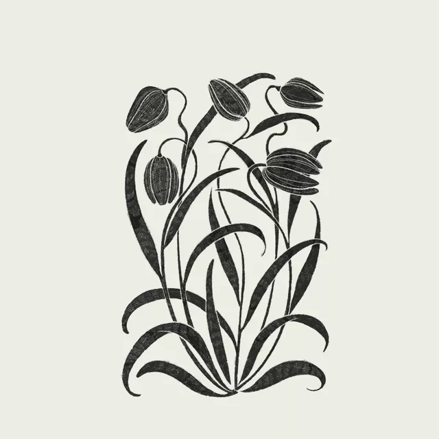 Kissen Tulip Flowers black