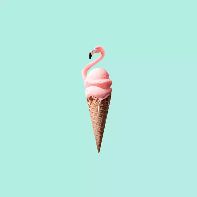 Kissen Flamingo Cone