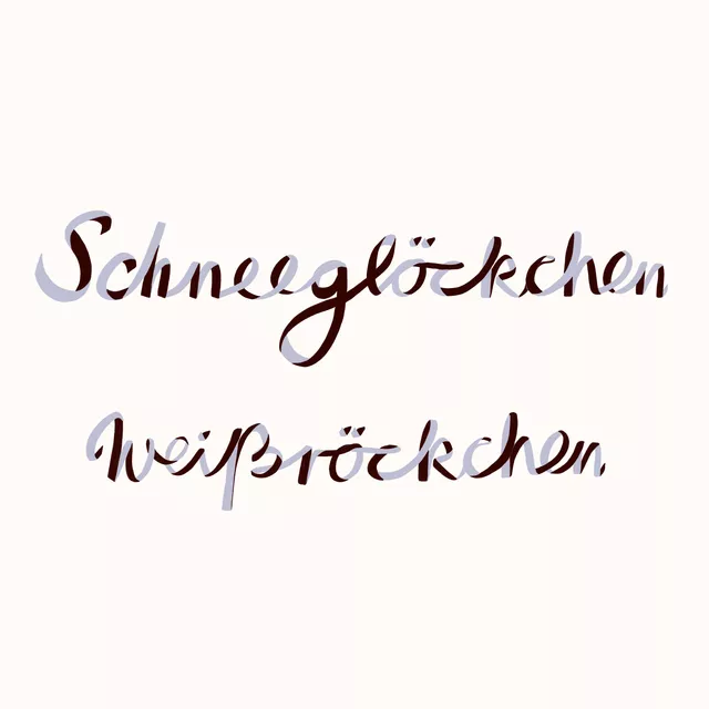 Kissen Schneeglöckchen Ribbontypo