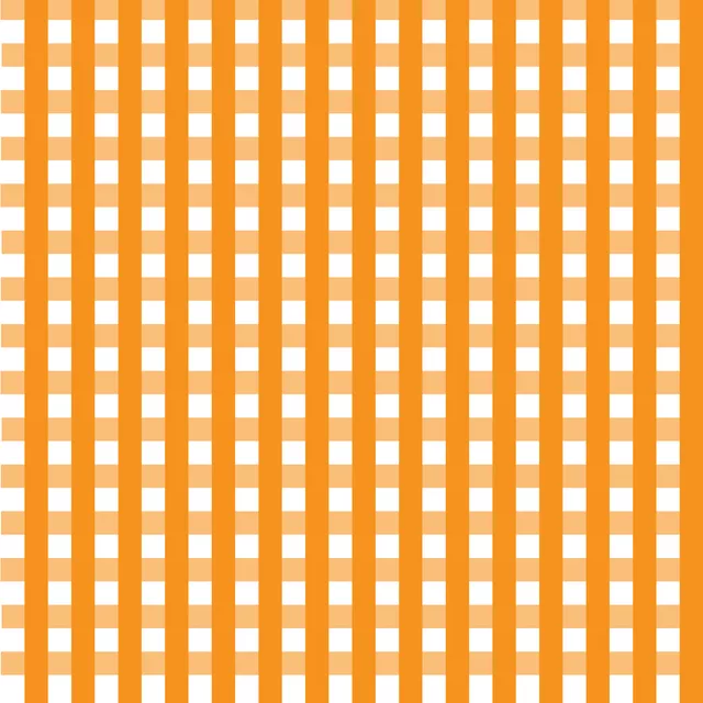 Kissen Karo Kariert Gingham orange