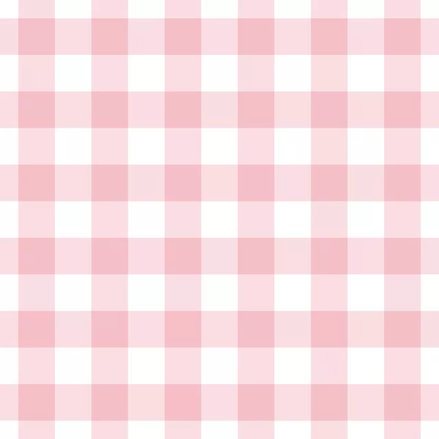 Kissen Rosa Weiß Gingham Grid 3