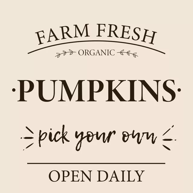 Kissen Pumpkins Typo