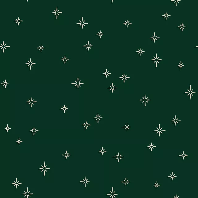 Kissen Sparkling Stars pine green