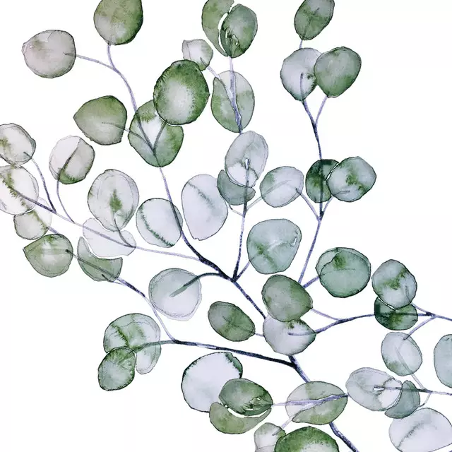 Kissen Eucalyptus Watercolor