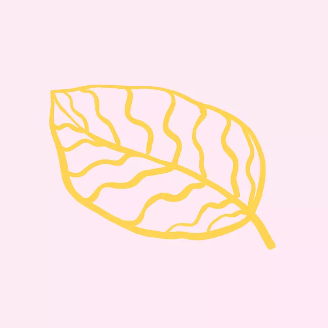 Kissen SUN LEAF