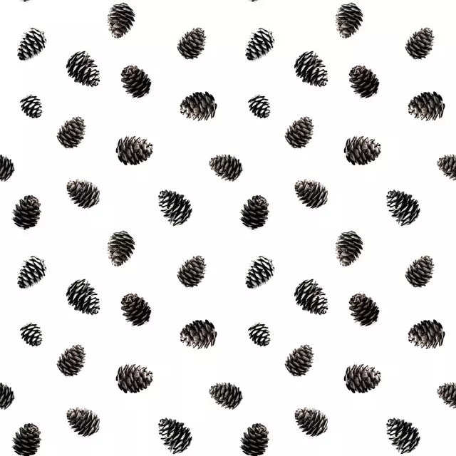 Kissen Pine Cones 1