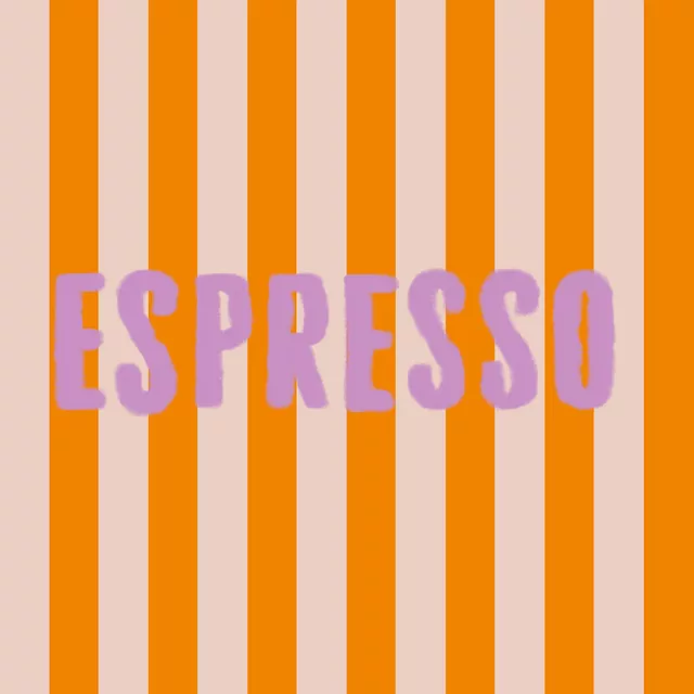 Kissen Espresso Lila Orange Streifen