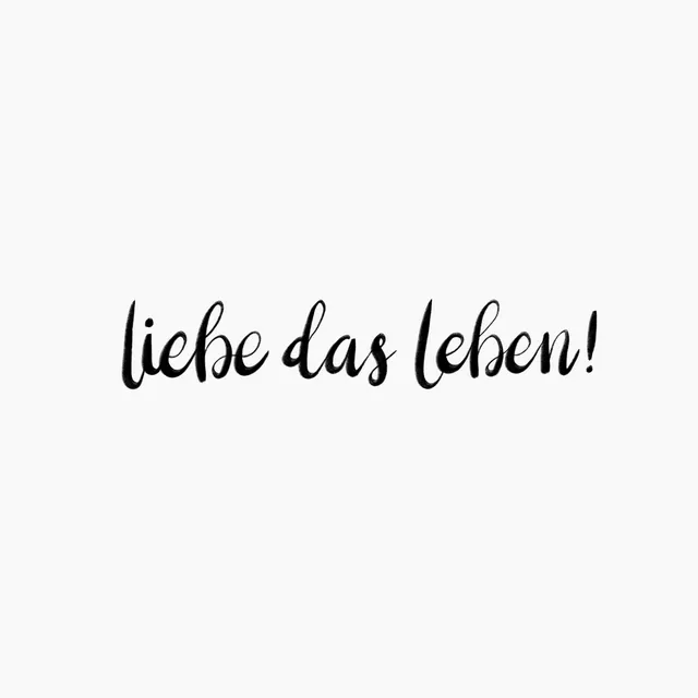 Kissen Liebe Das Leben!