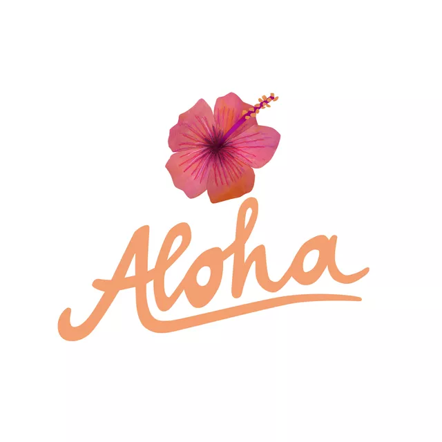 Kissen Aloha