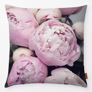 Kissen Peonies rose