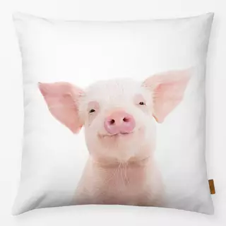 Kissen Baby Pig