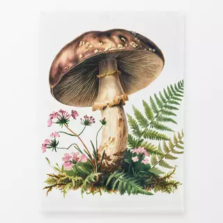 Geschirrtuch Forest Mushroom II