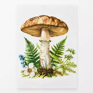 Geschirrtuch Forest Mushroom